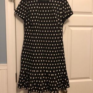 NWT Muse dress. Very cute and flattering.